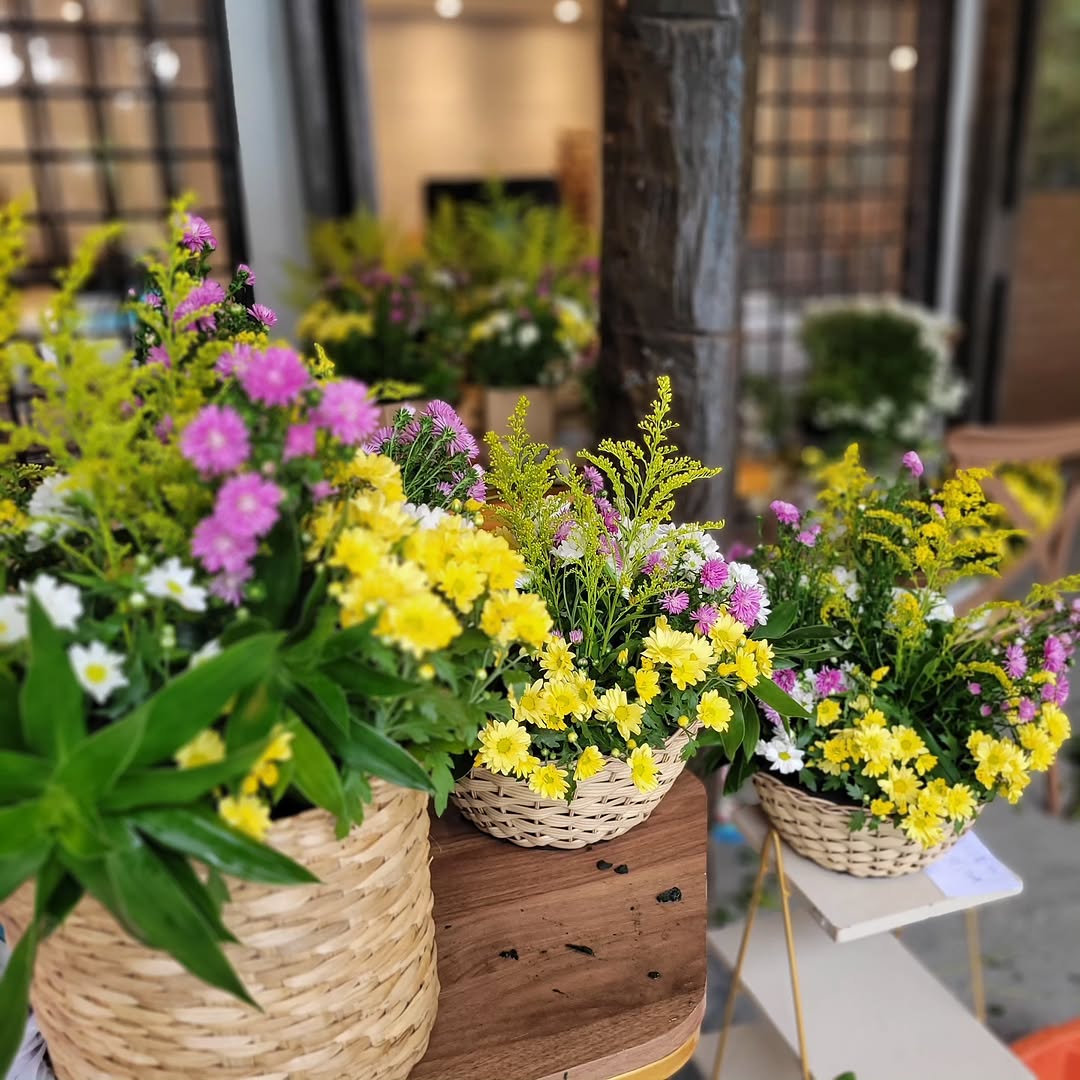 Casa Floresta - Galeria