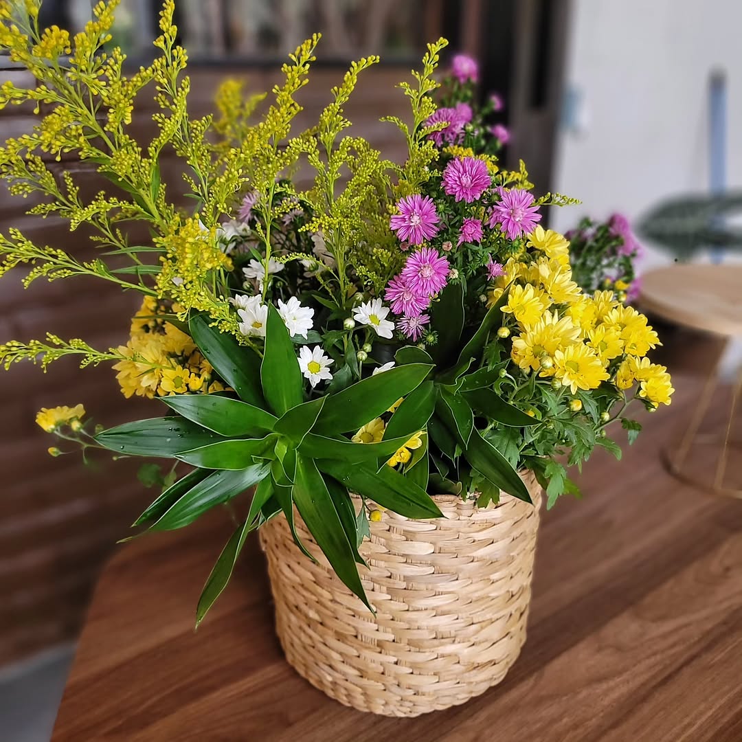 Casa Floresta - Galeria